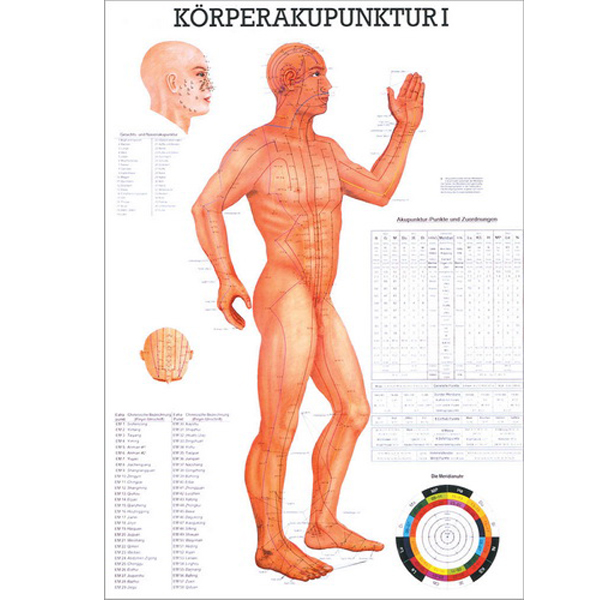 Anatomische Lehrtafel "Körperakupunktur I"
